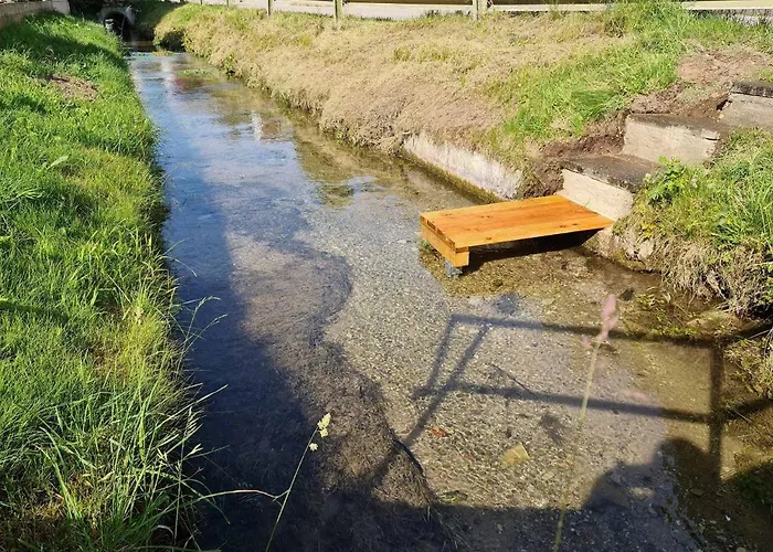 Am Bach